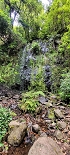 Plants: image 7 Of 208 Thumb